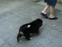 21-06-2003__31.MOV