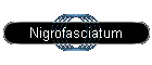 Nigrofasciatum