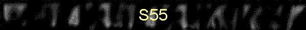 S55