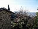 saturnia02.JPG