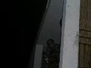 P1010004.JPG