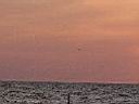 P1010005.JPG
