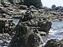 isla006.JPG