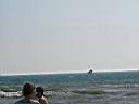 P1010004.JPG