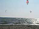 P1010006.JPG