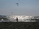 P1010007.JPG