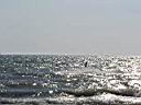 P1010015.JPG