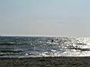 P1010043.JPG