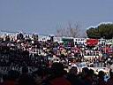 TN_P2150047.JPG