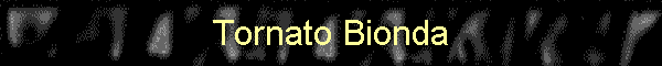 Tornato Bionda